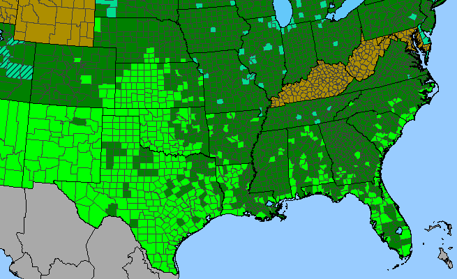 The range of Gaillardia pulchella